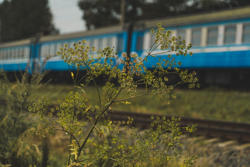 голубые вагоны в чистом поле