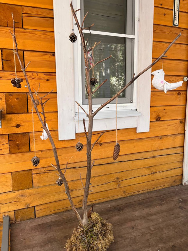 Коттедж для 14 человек с кухней и баней